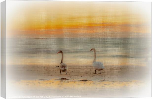 Swans At Sunset On Seamill Beach Canvas Print by Tylie Duff Photo Art