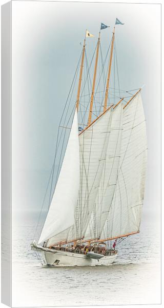 Classic Yacht Adix At Fife Regatta 2022 Canvas Print by Tylie Duff Photo Art