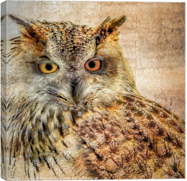 Majestic Hunter The Eurasian Eagle Owl Canvas Print by Tylie Duff Photo Art