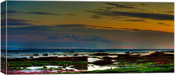 Horse Island off Ardrossan Harbour Canvas Print by Tylie Duff Photo Art