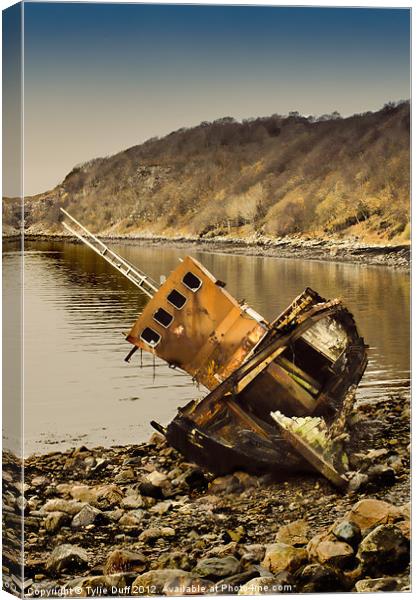 Shipwreck on Highland Beach at Diabaig Canvas Print by Tylie Duff Photo Art