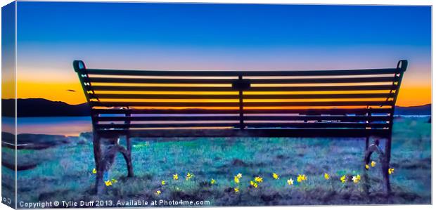 View from the Bench Canvas Print by Tylie Duff Photo Art