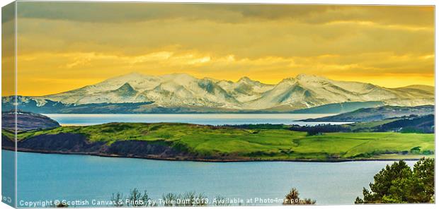Goatfell on Arran from Largs Canvas Print by Tylie Duff Photo Art