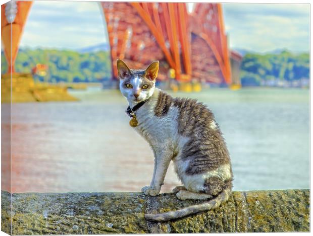 Snuggles The Cat At The Forth Bridge Canvas Print by Tylie Duff Photo Art
