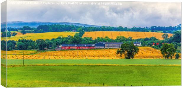  Rural Scottish Landscape Canvas Print by Tylie Duff Photo Art