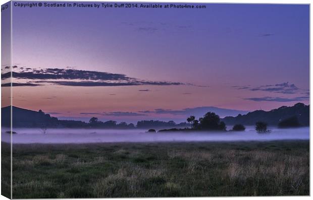  Misty Evening at Hunterston Canvas Print by Tylie Duff Photo Art
