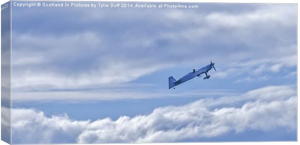 T67 Firefly at Scottish Airshow Canvas Print by Tylie Duff Photo Art