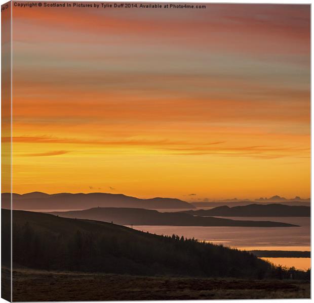 Scottish Winter Sunset Canvas Print by Tylie Duff Photo Art