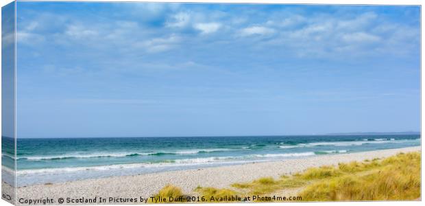 Findhorn Beach Canvas Print by Tylie Duff Photo Art