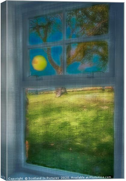 Cairngorms -Room With A View Canvas Print by Tylie Duff Photo Art
