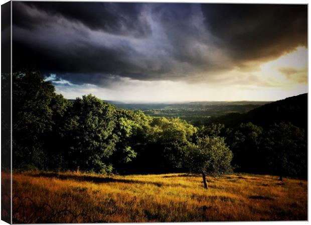 Moody sky, Correze, France Canvas Print by Philip Teale