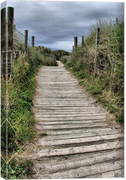 Boardwalk, Gwithian, Cornwall Canvas Print by Brian Pierce