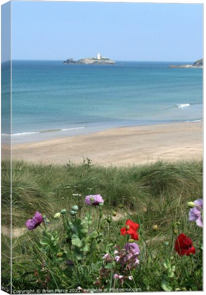 Wildflowers at Godrevy, Cornwall  Canvas Print by Brian Pierce