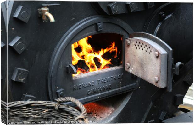 Puffin Devil Firebox Canvas Print by Brian Pierce