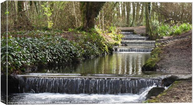 The cascade, Tehidy Country Park, Cornwall Canvas Print by Brian Pierce