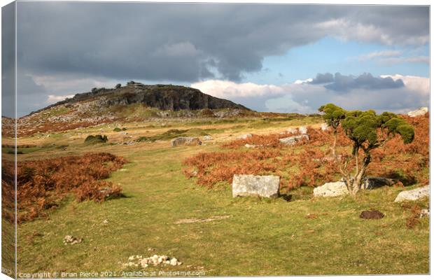 Towards the Cheesewring, Bodmin Moor  Canvas Print by Brian Pierce