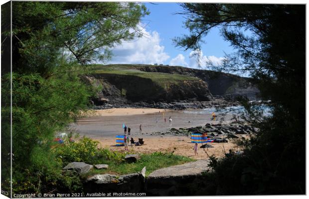 View through the hedge to Church Cove from the chu Canvas Print by Brian Pierce