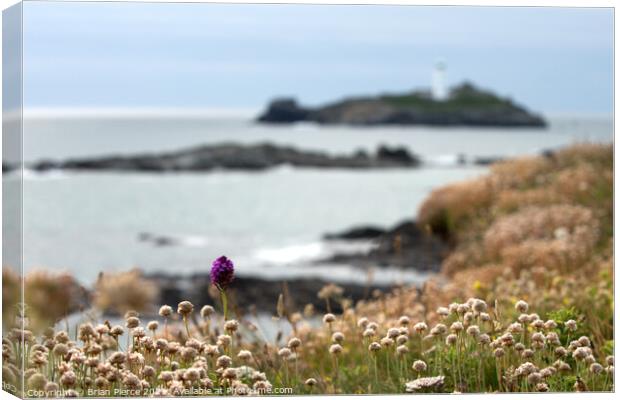 Thrift, Orchids and Godrevy Lighthouse from the So Canvas Print by Brian Pierce