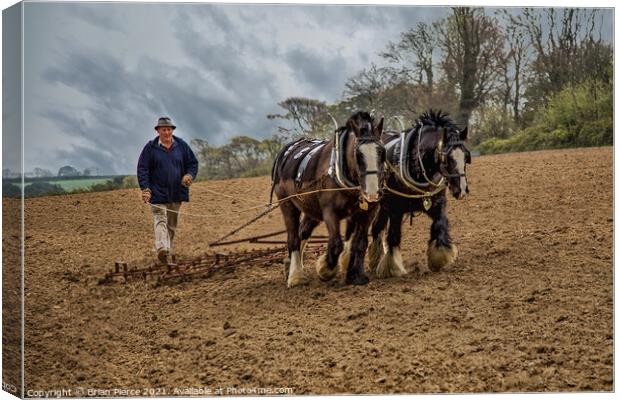 Horse Drawn Harrow  Canvas Print by Brian Pierce