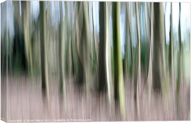 Trees (Intentional Camera Movement) Canvas Print by Brian Pierce
