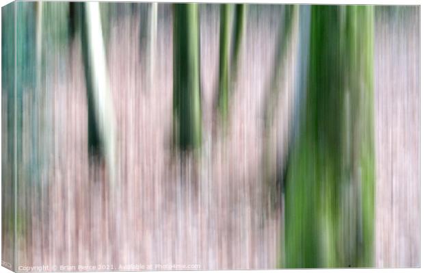 Trees (Intentional Camera Movement)  Canvas Print by Brian Pierce