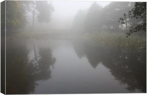 Morning Mist Over Pond Canvas Print by Darren Watkinson