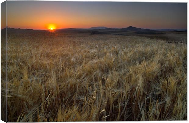 light fields Canvas Print by Guido Montañes