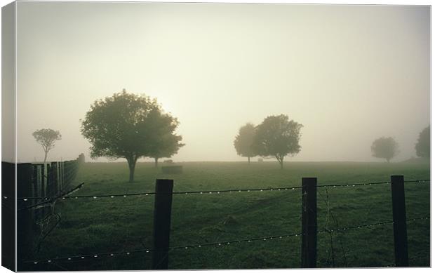 Misty Morning Canvas Print by Bruce Stanfield