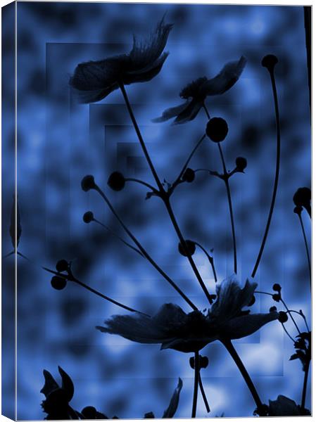 blue shadow Canvas Print by Sandra Beikirch