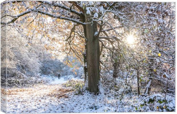 Winter in the Chilterns Canvas Print by Graham Custance