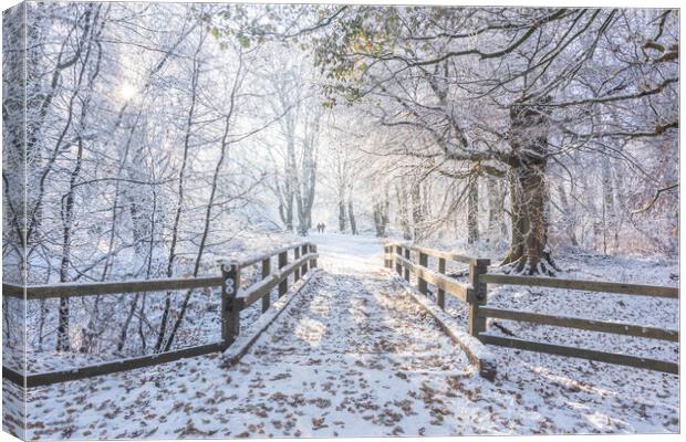 Ashridge in Winter Canvas Print by Graham Custance