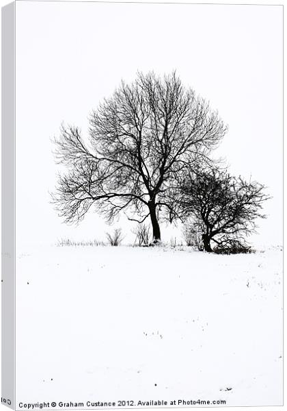 Winter Wonderland Canvas Print by Graham Custance