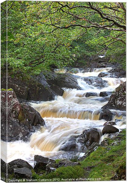 Snowdonia Waterfall Canvas Print by Graham Custance