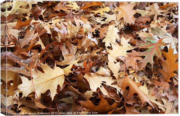 Autumn Leaves Canvas Print by Graham Custance