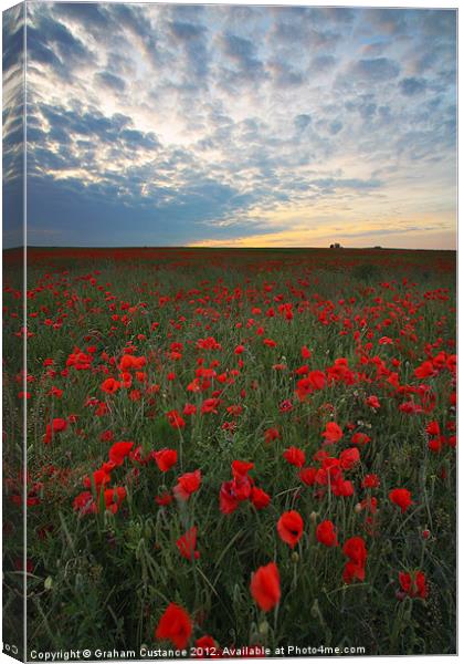 Poppies Canvas Print by Graham Custance
