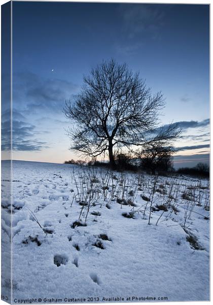 Winter Tree Canvas Print by Graham Custance