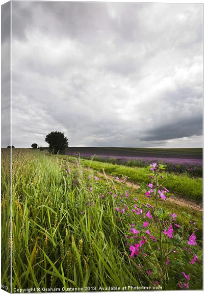 English Countryside Canvas Print by Graham Custance