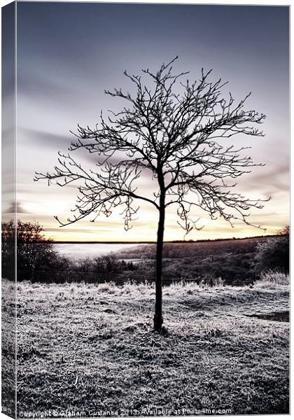 Winter Sunrise Canvas Print by Graham Custance