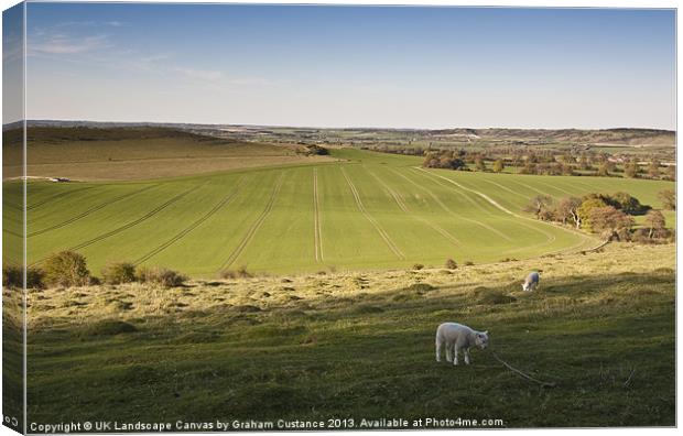English Countryside Canvas Print by Graham Custance