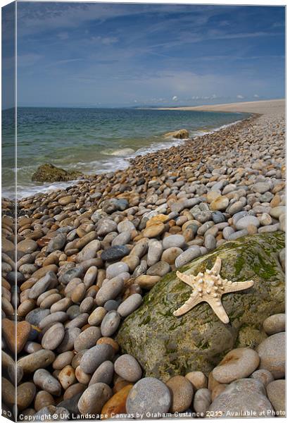 Chesil Beach Starfish Canvas Print by Graham Custance