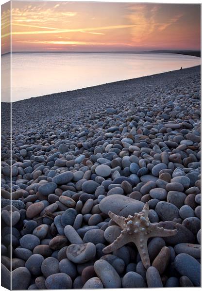 Chesil Beach Starfish Canvas Print by Graham Custance