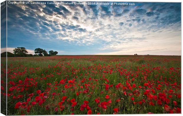  Poppy Field Canvas Print by Graham Custance