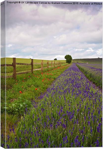  Lavender Field Canvas Print by Graham Custance