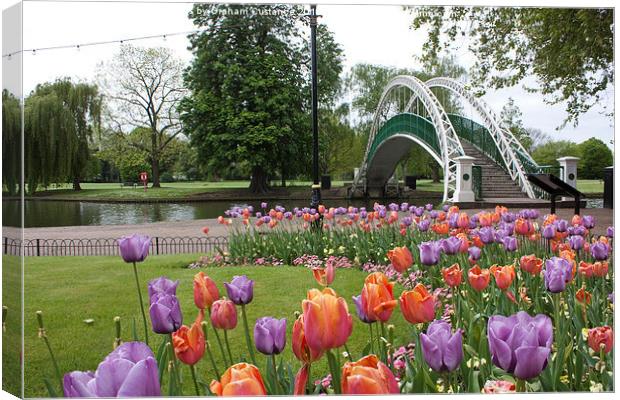  Bedford Tulips Canvas Print by Graham Custance