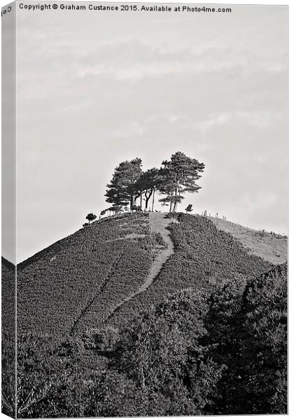  Colmer Hill Canvas Print by Graham Custance
