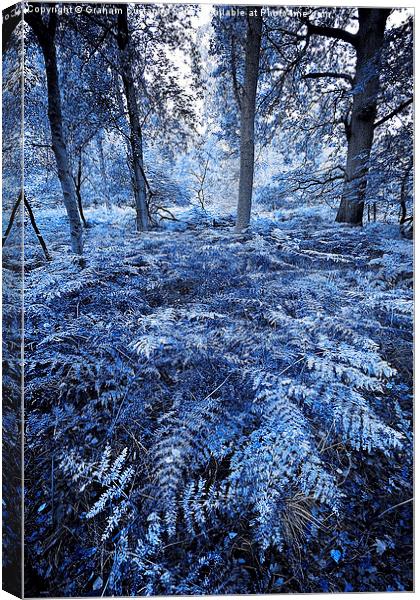 Mystical Woods Canvas Print by Graham Custance