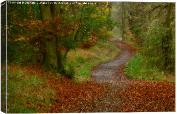 Meandering Path Canvas Print by Graham Custance