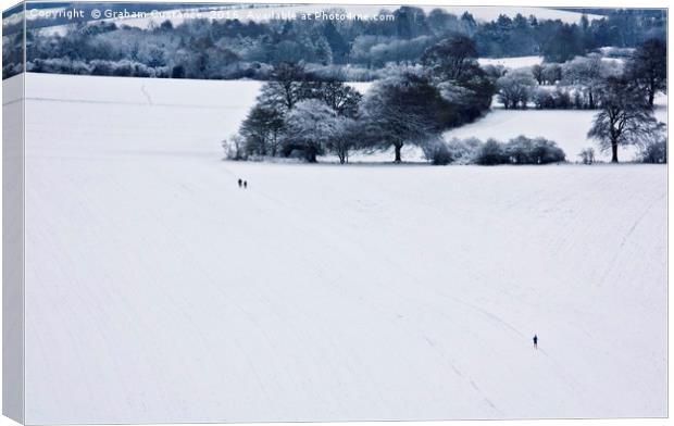 A Walk in the Snow Canvas Print by Graham Custance