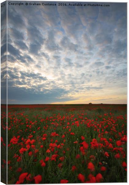 Poppy Field Canvas Print by Graham Custance