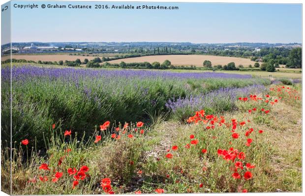 Lavender and Poppies Canvas Print by Graham Custance
